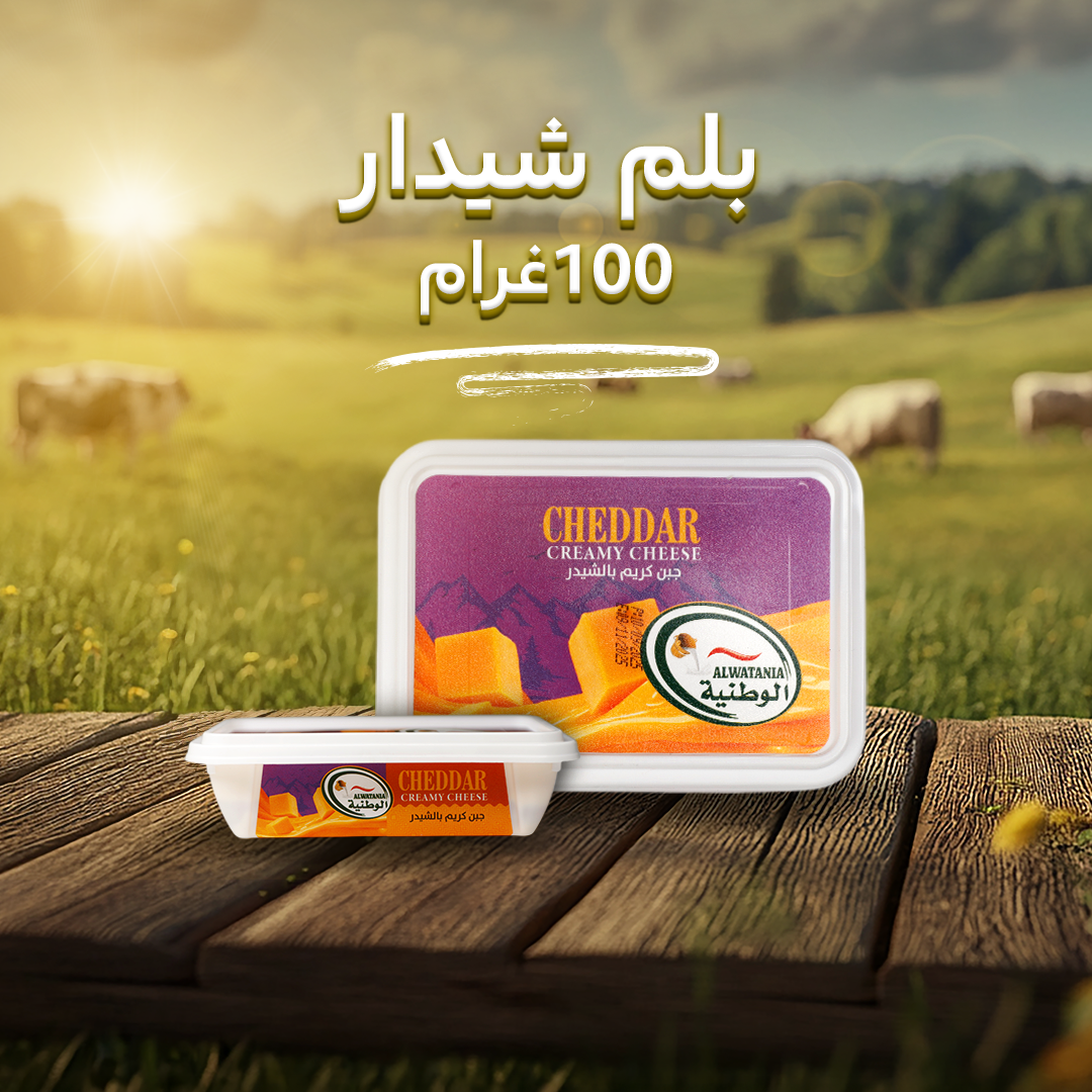 cheddar creamy cheese